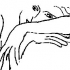 matisse-16.jpg