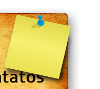 Contato